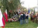 Kliknij aby powiększyć